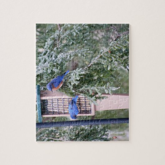 Puzzle Bluebirds d'hiver (Vertical)