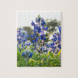 Puzzle Bluebonnets Fleurs Bleues Texas Texan Floral