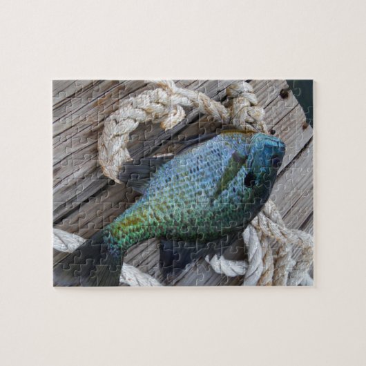 Puzzle bluegill sur quai (Horizontal)