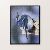 Puzzle BlueJay (Vertical)