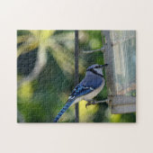 Puzzle Bluejay Perché sur Birdfeeder (Horizontal)