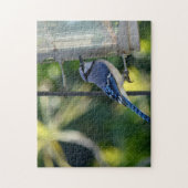 Puzzle Bluejay Perché sur Birdfeeder (Vertical)