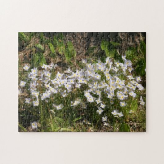 Puzzle Bluets Tiny Blue Flowers peinture à l'huile photo (Horizontal)