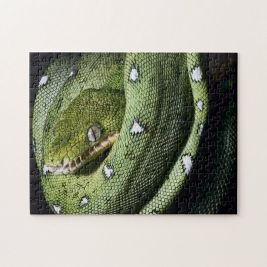 Puzzle Boa vert de serpent vert d'arbre en Bolivie (Horizontal)