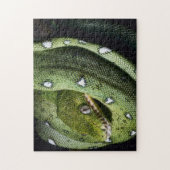 Puzzle Boa vert de serpent vert d'arbre en Bolivie (Vertical)