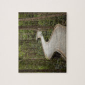 Puzzle Boardwalk to Nelson Falls, Franklin - Gordon (Vertical)