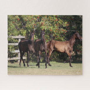 Puzzle Bob Langrish   3 Jeunes andalous debout