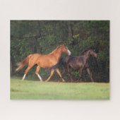 Puzzle Bob Langrish | Allemand Riding Pony Et Oldenburg (Horizontal)