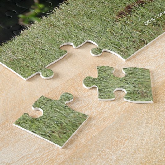 Puzzle Bob Langrish | Appaloosa debout (Côté)