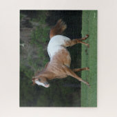Puzzle Bob Langrish | Appaloosa Horse Running (Vertical)