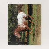 Puzzle Bob Langrish | Appaloosa Horse Running (Vertical)