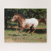 Puzzle Bob Langrish | Appaloosa Horse Running (Horizontal)