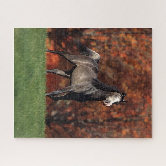 Puzzle Bob Langrish | Arabe Arrière - plan d'automne (Horizontal)