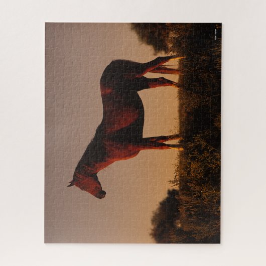 Puzzle Bob Langrish | Arabe debout Au Coucher Du Soleil (Vertical)