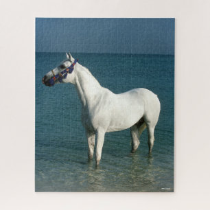 Puzzle Bob Langrish   Arabe gris debout Dans La Mer