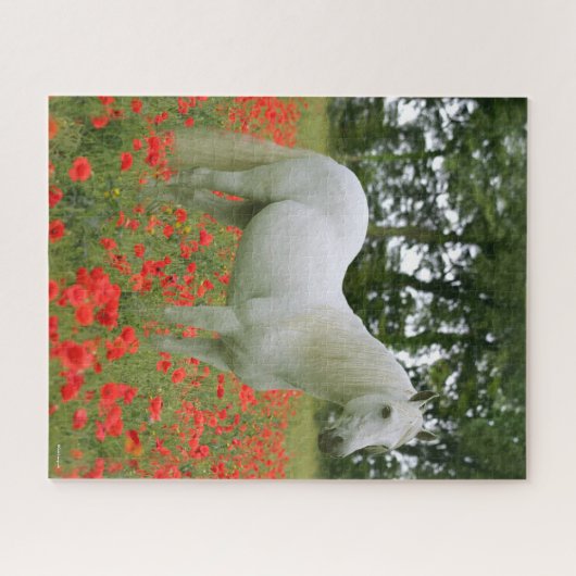 Puzzle Bob Langrish | Arabe gris debout En Fleurs Rouges (Horizontal)
