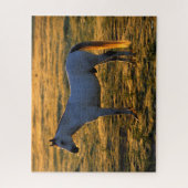 Puzzle Bob Langrish | Arrière-lit debout (Vertical)