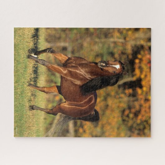 Puzzle Bob Langrish | Arrière - plan automatique arabe de (Horizontal)