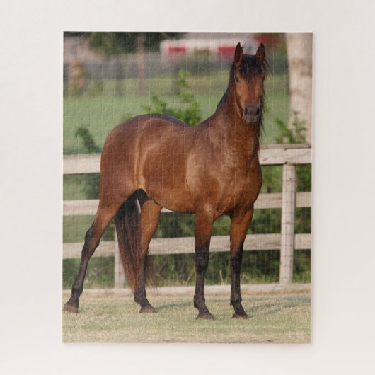 Puzzle Bob Langrish | Baie Andalousie debout (Vertical)