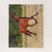Puzzle Bob Langrish | Baie Colt andalou En Champ (Vertical)