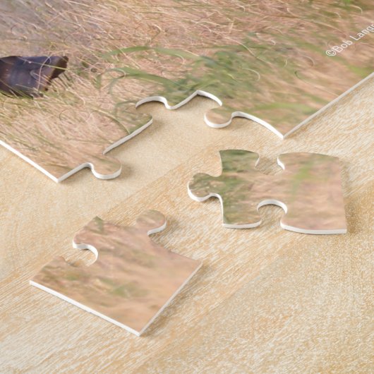 Puzzle Bob Langrish | Baie Colt andalou En Champ (Côté)