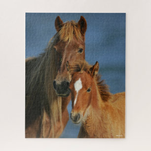 Puzzle Bob Langrish Banker Pony Mare et Foie Headshot