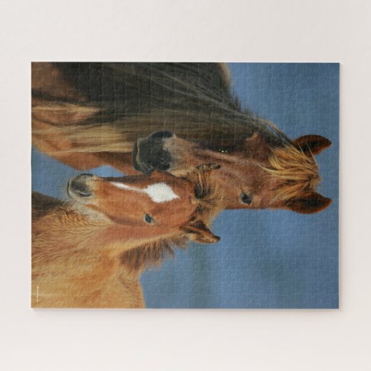 Puzzle Bob Langrish | Banker Pony Mare et Foie Headshot (Horizontal)