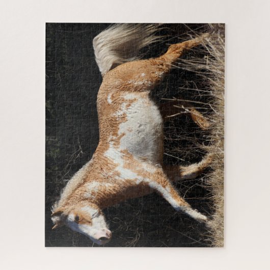 Puzzle Bob Langrish Bashkir Curly Horse Stallion Marcher (Vertical)