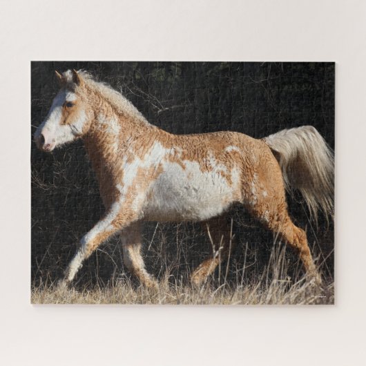 Puzzle Bob Langrish Bashkir Curly Horse Stallion Marcher (Horizontal)
