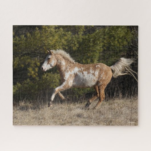 Puzzle Bob Langrish | Bashkir Curly Stallion Courant (Horizontal)
