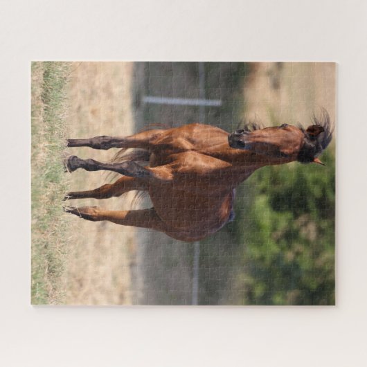 Puzzle Bob Langrish | Bay Arab Standing Mane Blown (Horizontal)