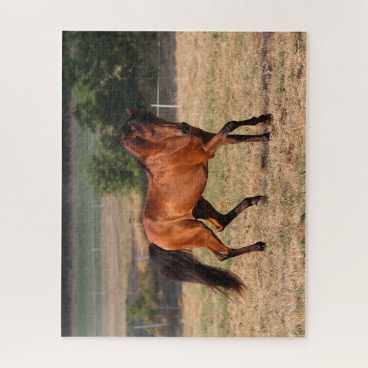 Puzzle Bob Langrish | Bay Arab Walking (Vertical)