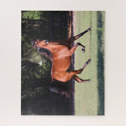 Puzzle Bob Langrish | Bay Tennessee Walker Running (Vertical)