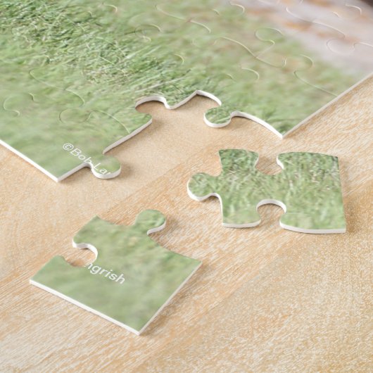 Puzzle Bob Langrish | Bay Tennessee Walker Running (Côté)