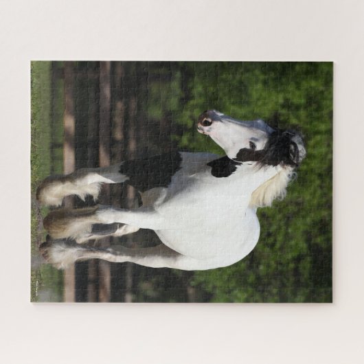 Puzzle Bob Langrish Black and White Gypsy Vanner Running (Horizontal)