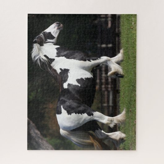Puzzle Bob Langrish Black and White Gypsy Vanner Walking (Vertical)