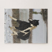 Puzzle Bob Langrish Black and White Welsh Cob in the Snow (Horizontal)