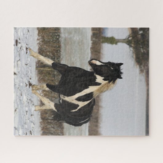 Puzzle Bob Langrish Black and White Welsh Cob in the Snow (Horizontal)