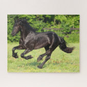 Puzzle Bob Langrish | Black Friesian Running (Horizontal)