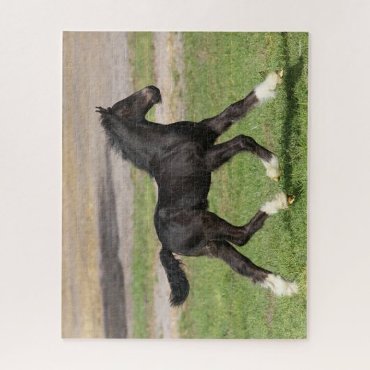 Puzzle Bob Langrish | Black Gypsy Vanner Foal Running (Vertical)