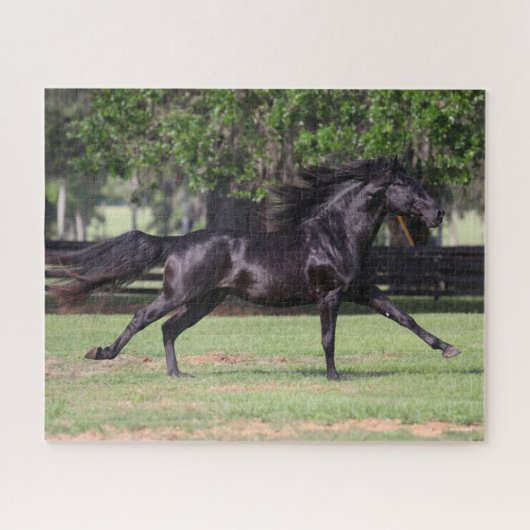 Puzzle Bob Langrish | Black Lusitano Runer Mane Flow (Horizontal)