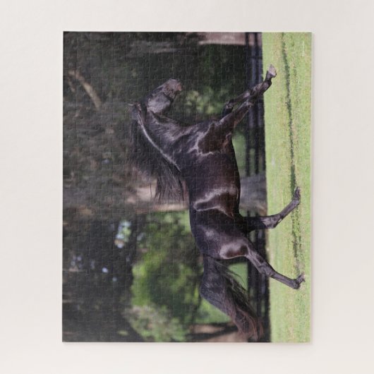 Puzzle Bob Langrish | Black Lusitano Running (Vertical)