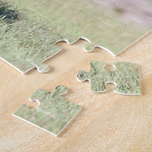 Puzzle Bob Langrish | Black Tennessee Walker Running (Côté)