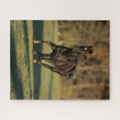 Puzzle Bob Langrish | Black Thoroughbred Running (Horizontal)