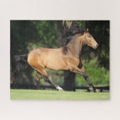 Puzzle Bob Langrish | Buckskin Lusitano Running (Horizontal)
