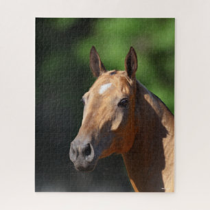 Puzzle Bob Langrish   Capture d'écran Akhal Teke