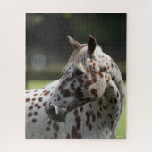 Puzzle Bob Langrish | Capture d'écran Appaloosa Standing (Vertical)