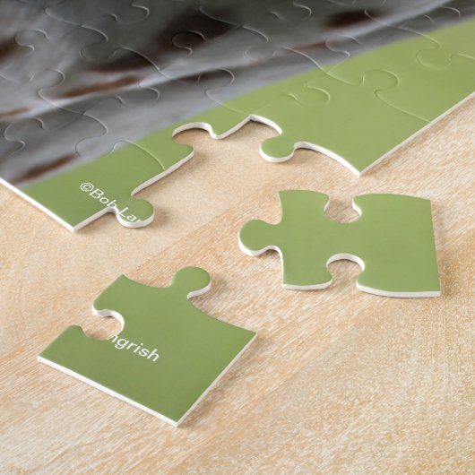 Puzzle Bob Langrish | Capture d'écran Appaloosa Standing (Côté)
