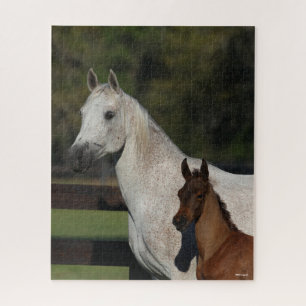 Puzzle Bob Langrish   Capture d'écran Arab Mare and Foot