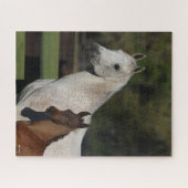 Puzzle Bob Langrish | Capture d'écran Arab Mare and Foot (Horizontal)